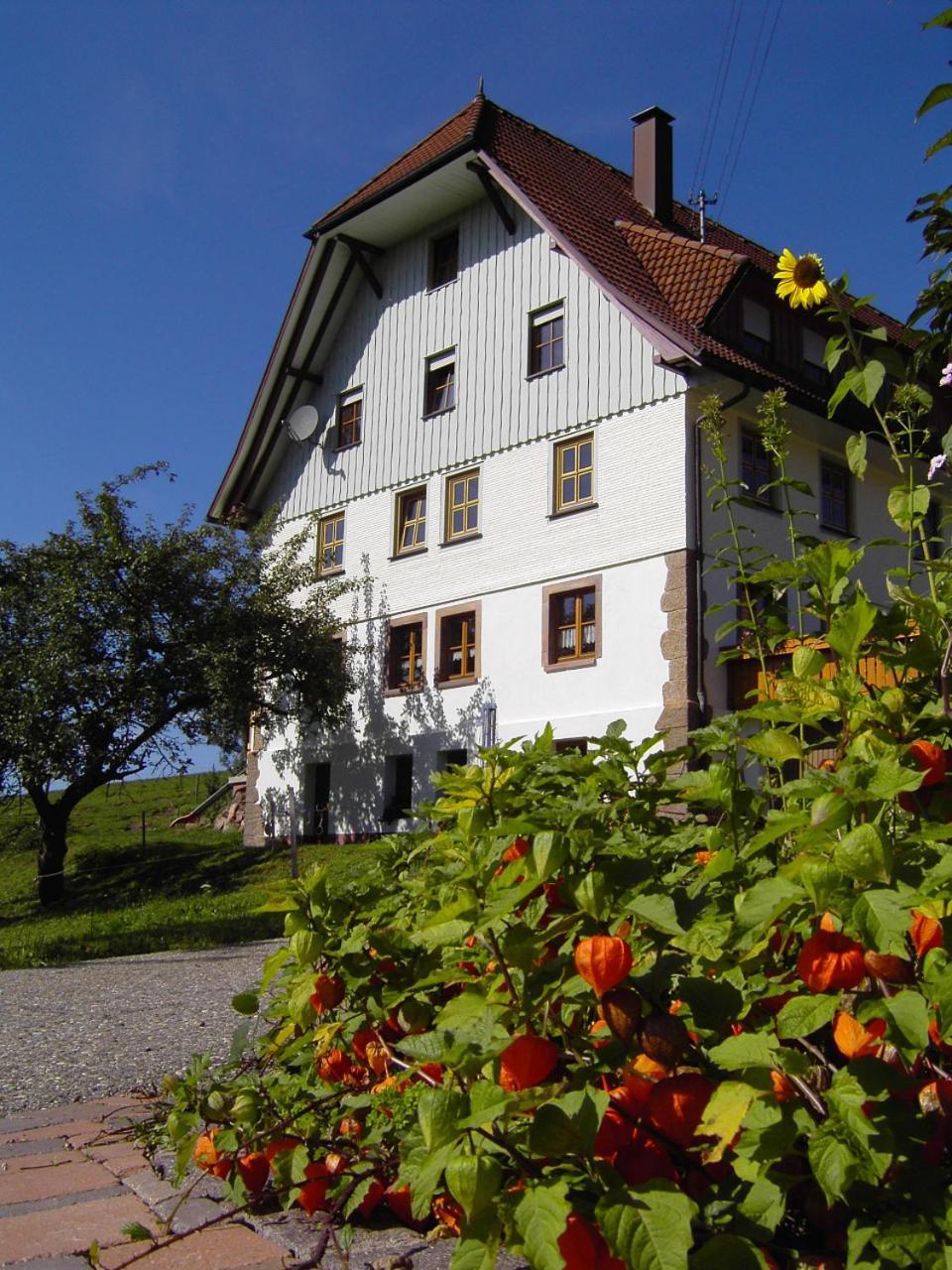 Fehrenbacherhof Naturgaestehaus 라우터바흐 외부 사진